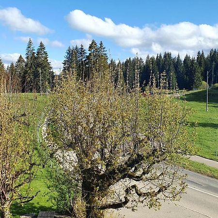 Auberge De La Couronne Saignelégier المظهر الخارجي الصورة